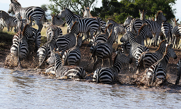 Serengeti - Grumeti Private Reserve
