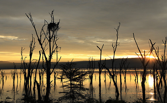 Lake Nakuru - sunrise