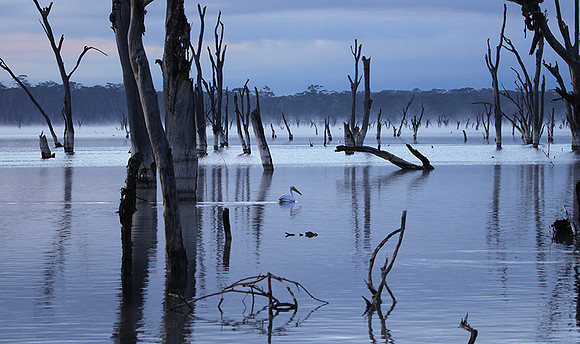 Lake Nakuru
