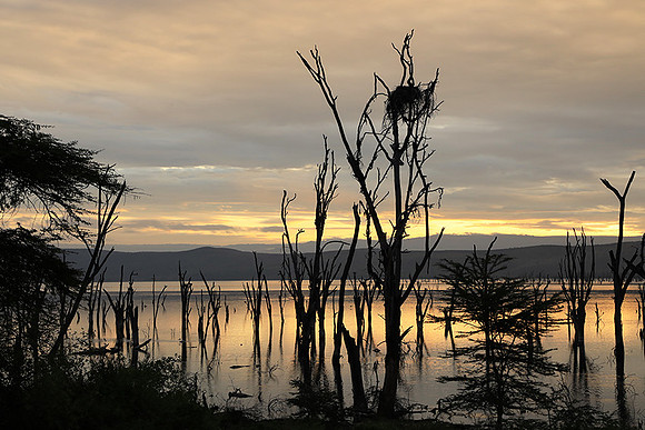 Lake Nakuru - sunrise