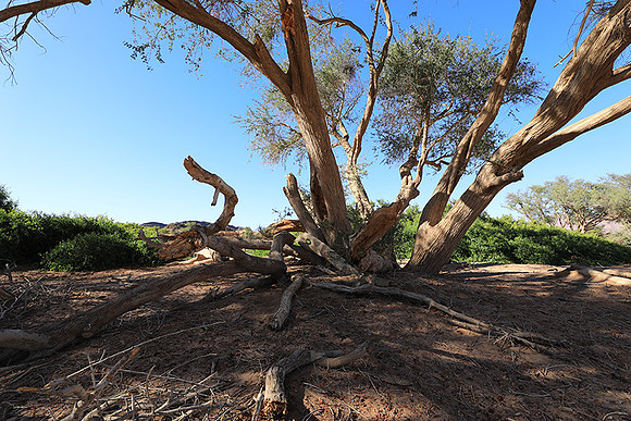 Damaraland
