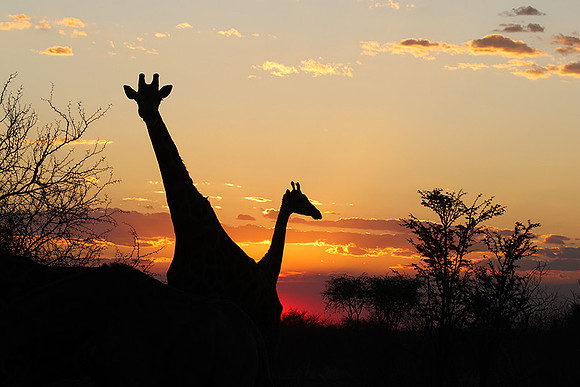 Sunset - Tau Pan
