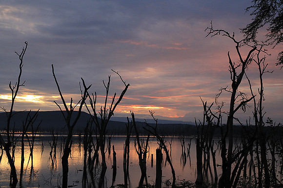 Lake Nakuru - sunrise