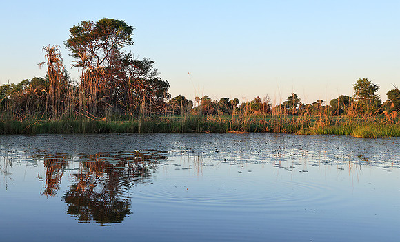 Delta of Okavango