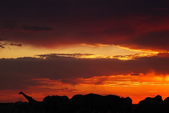 Sunset - Nxai Pan