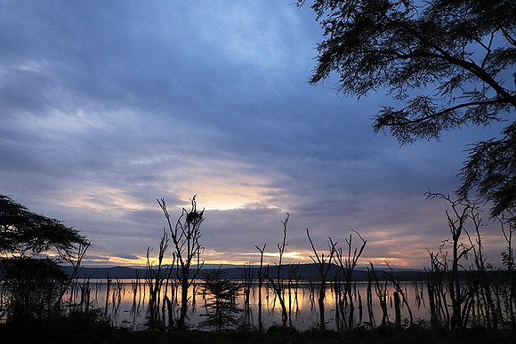 Lake Nakuru - sunrise
