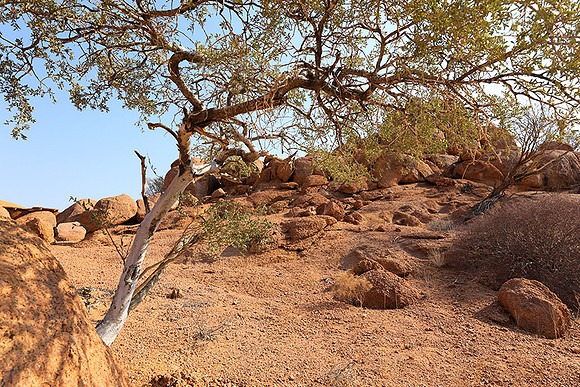 Damaraland