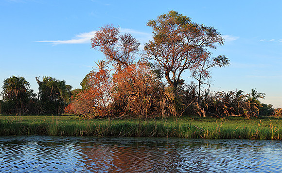 Delta of Okavango