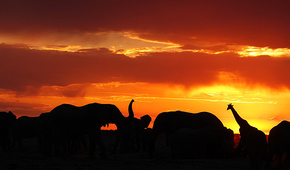 Sunset - Nxai Pan