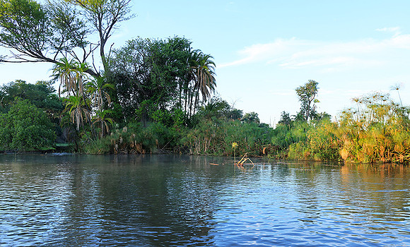 Delta of Okavango