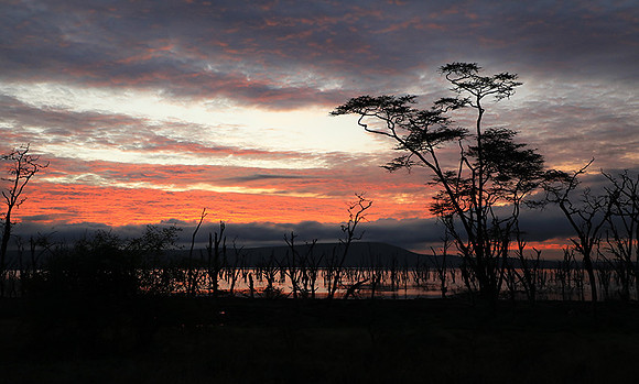 Lake Nakuru - sunrise