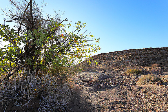 Damaraland
