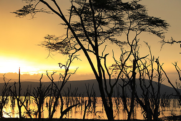 Lake Nakuru - sunrise