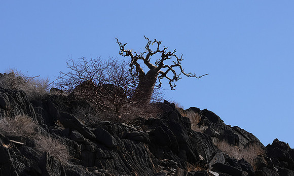 Damaraland