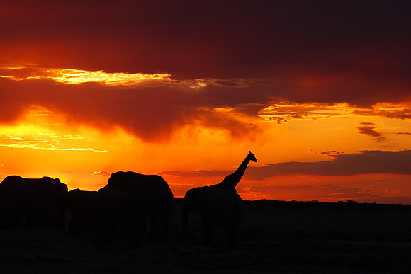 Sunset - Nxai Pan