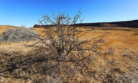 Damaraland