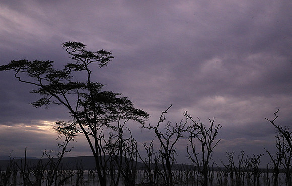 Lake Nakuru - sunrise