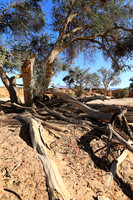 Damaraland