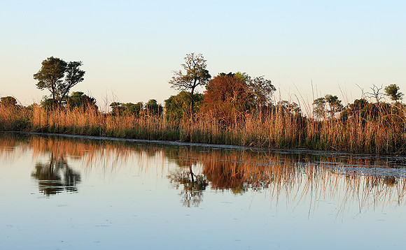 Delta of Okavango