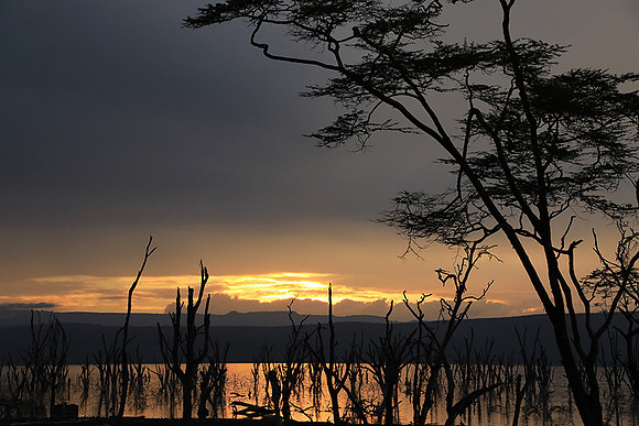 Lake Nakuru - sunrise