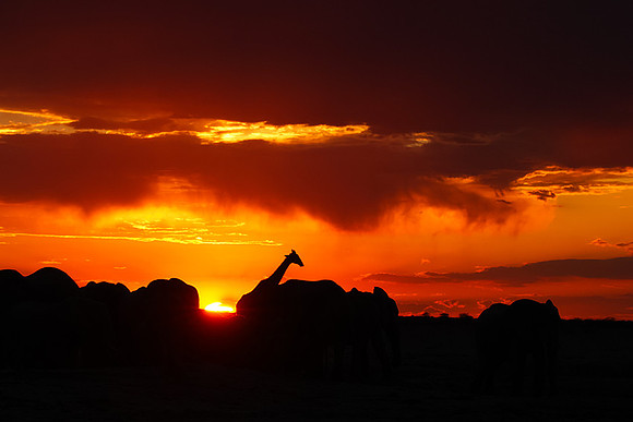 Sunset - Nxai Pan