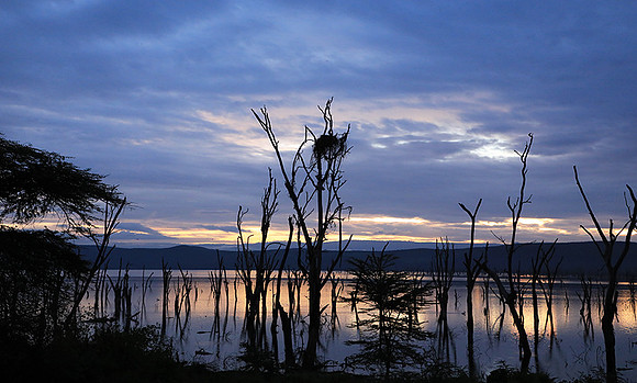 Lake Nakuru - sunrise