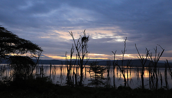 Lake Nakuru - sunrise