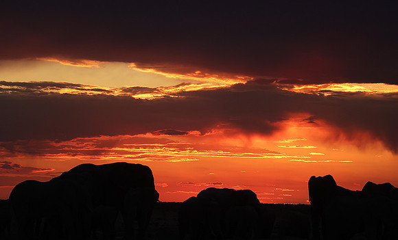 Sunset - Nxai Pan