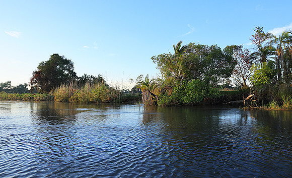 Delta of Okavango