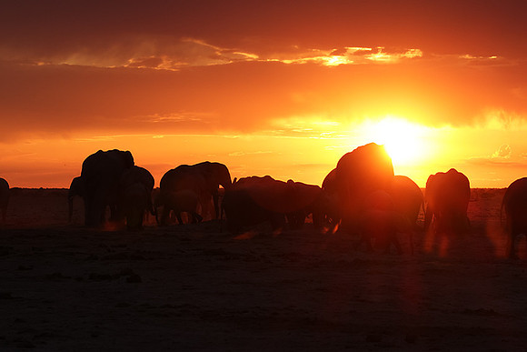 Sunset - Nxai Pan