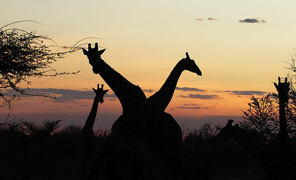 Sunset - Tau Pan