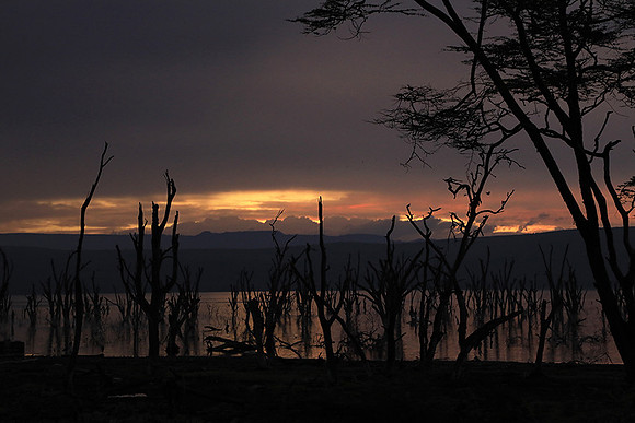Lake Nakuru - sunrise