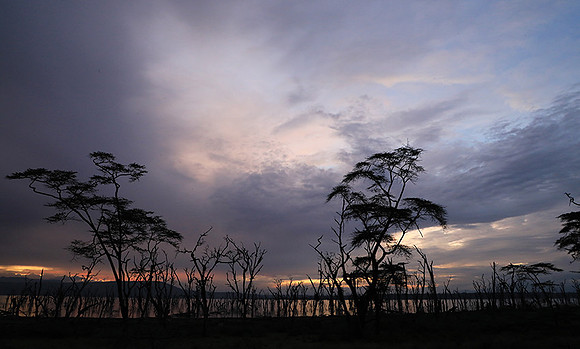 Lake Nakuru - sunrise