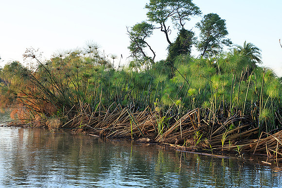 Delta of Okavango