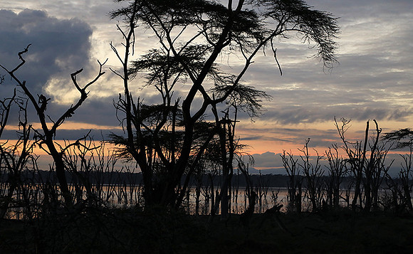 Lake Nakuru - sunrise
