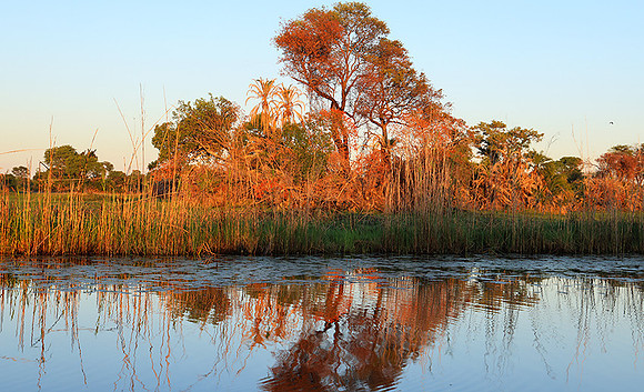 Delta of Okavango