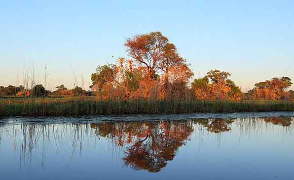 Delta of Okavango