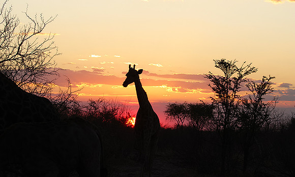 Sunset - Tau Pan