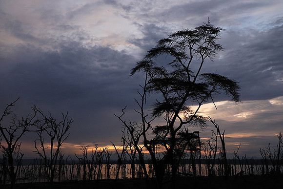 Lake Nakuru - sunrise