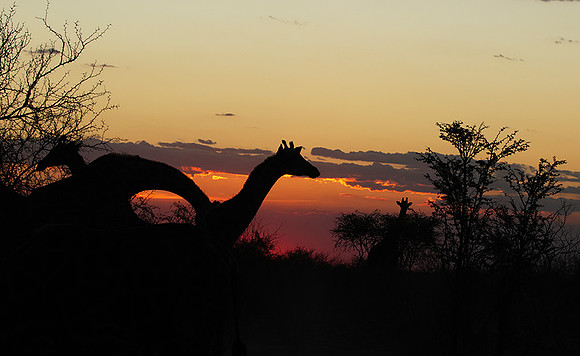 Sunset - Tau Pan