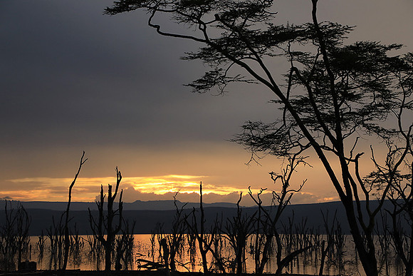 Lake Nakuru - sunrise