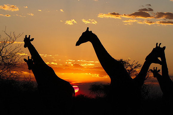 Sunset - Tau Pan