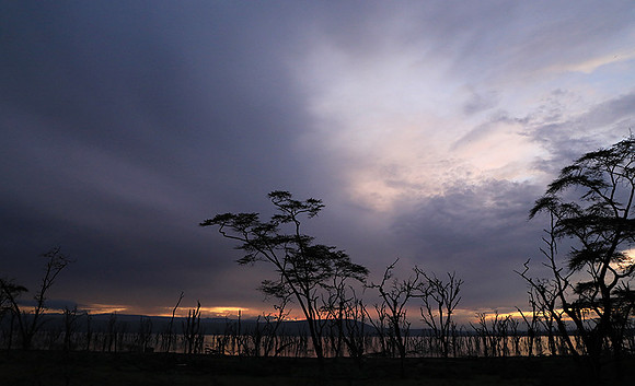 Lake Nakuru - sunrise