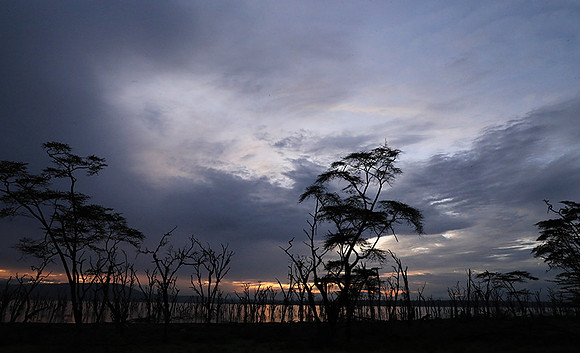 Lake Nakuru - sunrise