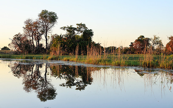 Delta of Okavango