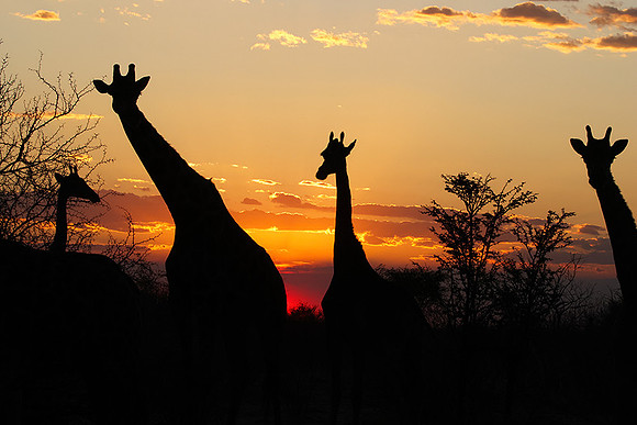 Sunset - Tau Pan