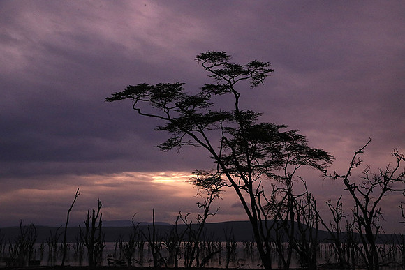 Lake Nakuru - sunrise