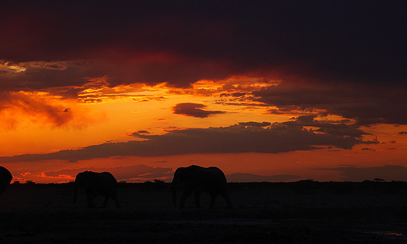 Sunset - Nxai Pan