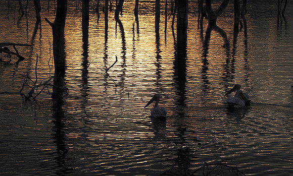 Lake Nakuru