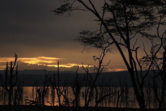 Lake Nakuru - sunrise